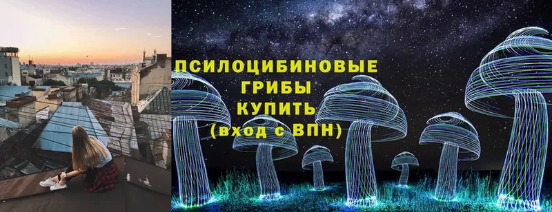 omg tor  Асино  Галлюциногенные грибы Psilocybe 